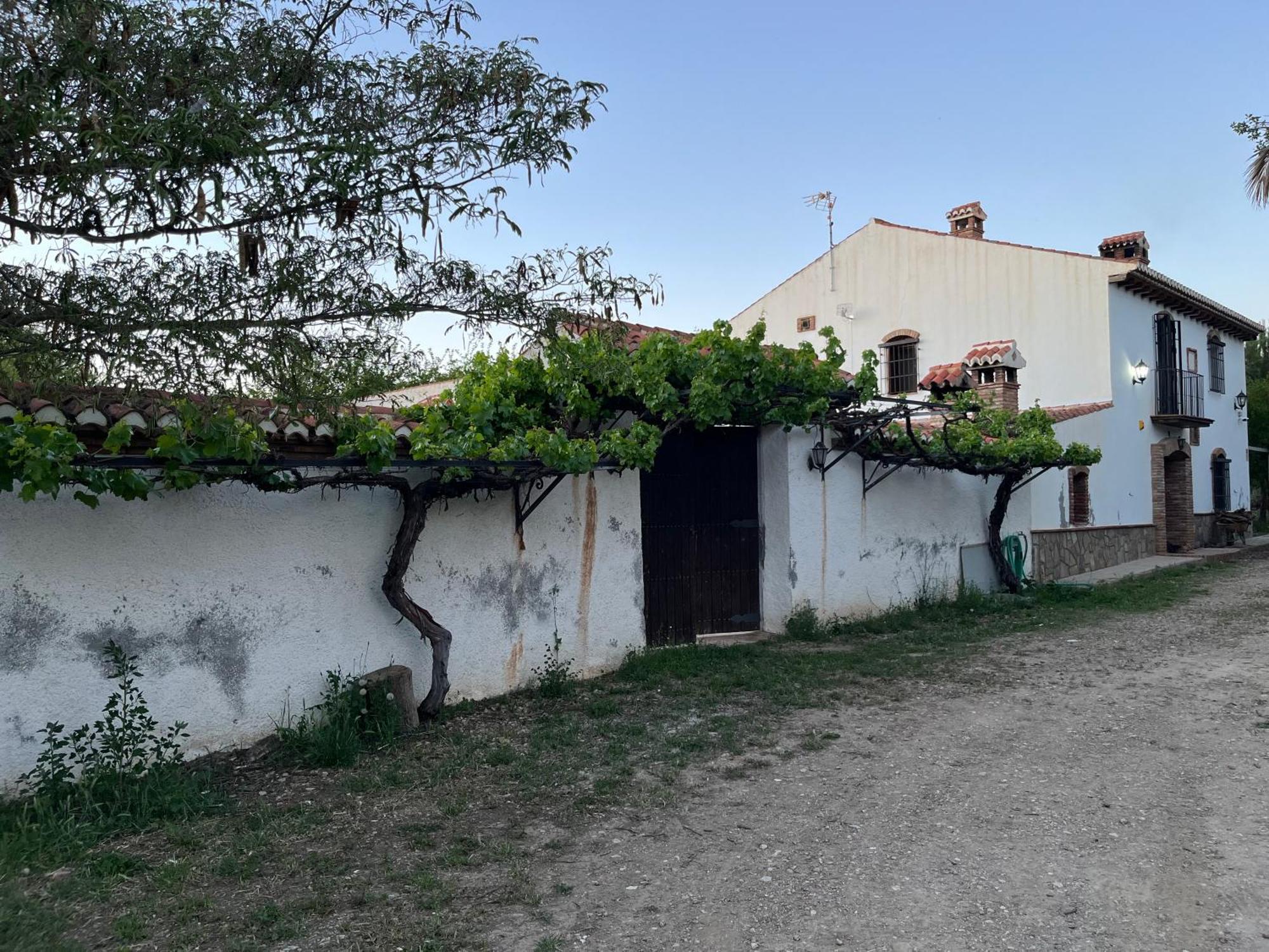 Cortijo Don Meliton Villa กวาดิกซ์ ภายนอก รูปภาพ
