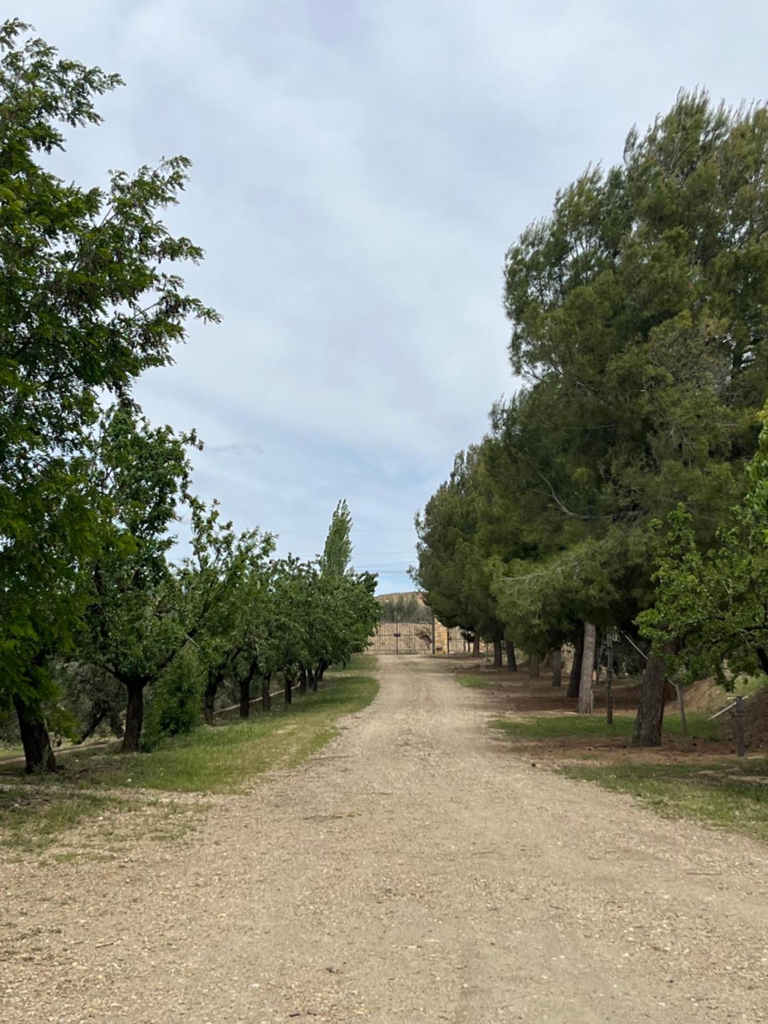 Cortijo Don Meliton Villa กวาดิกซ์ ภายนอก รูปภาพ